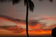 KONICA MINOLTA DIGITAL CAMERA