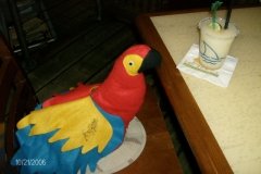 guest_of_honor_at_the_table