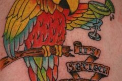 5_O_clock_Parrot_a~0