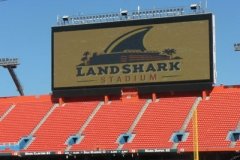 marlinslandshark2