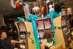 308586_10150320256573178_130253173177_8228505_663843192_n