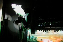 The Remote shark flys 5 adj