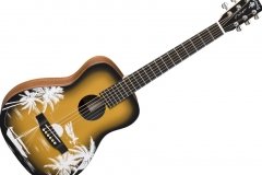 martin-lx-jimmy-buffett