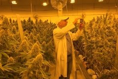 10952145_10152682164992759_6495403275478951496_n