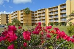 margaritaville-cayman